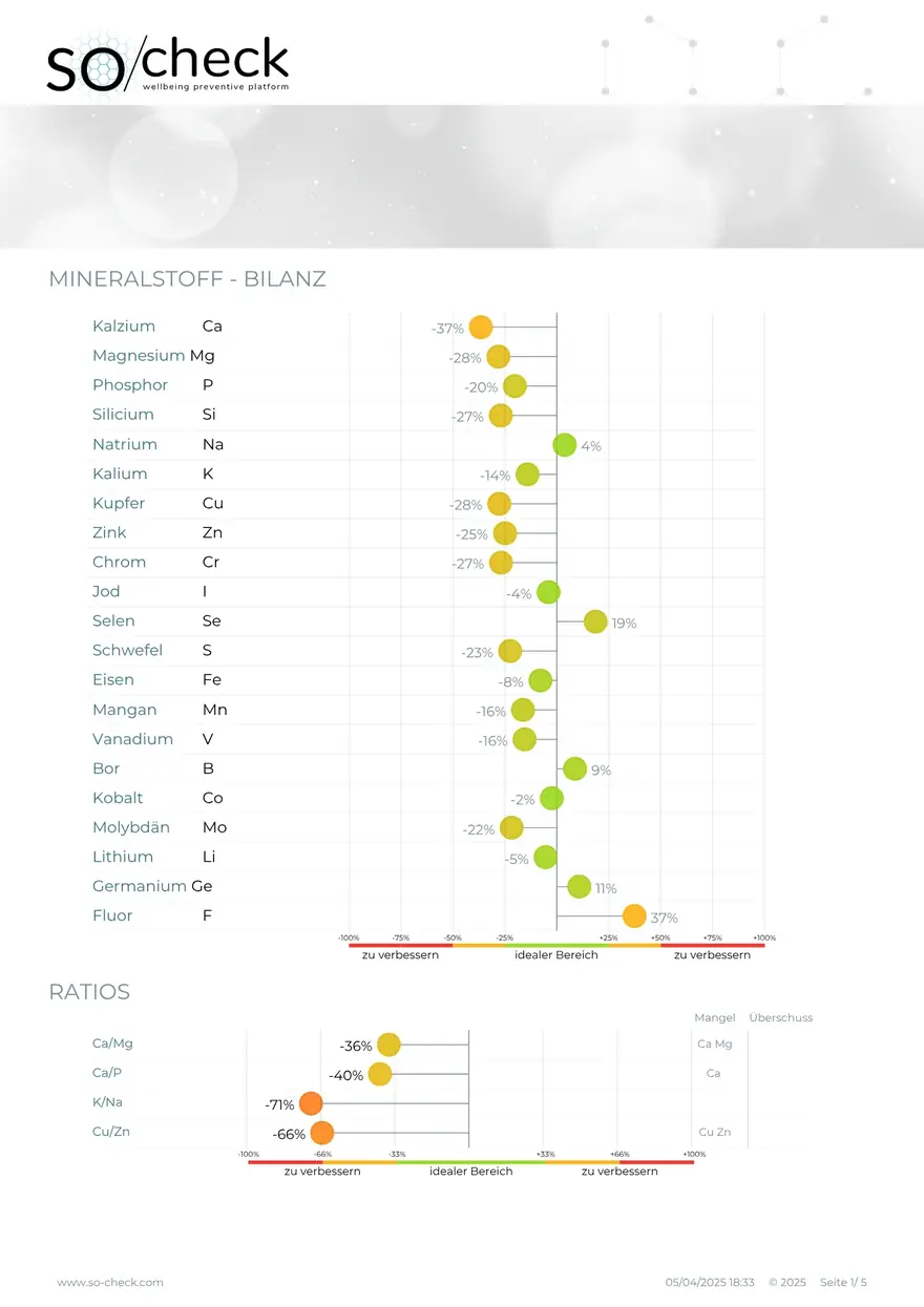 Erste Seite der SO-Check-Bilanz mit Mineralstoff-Werten