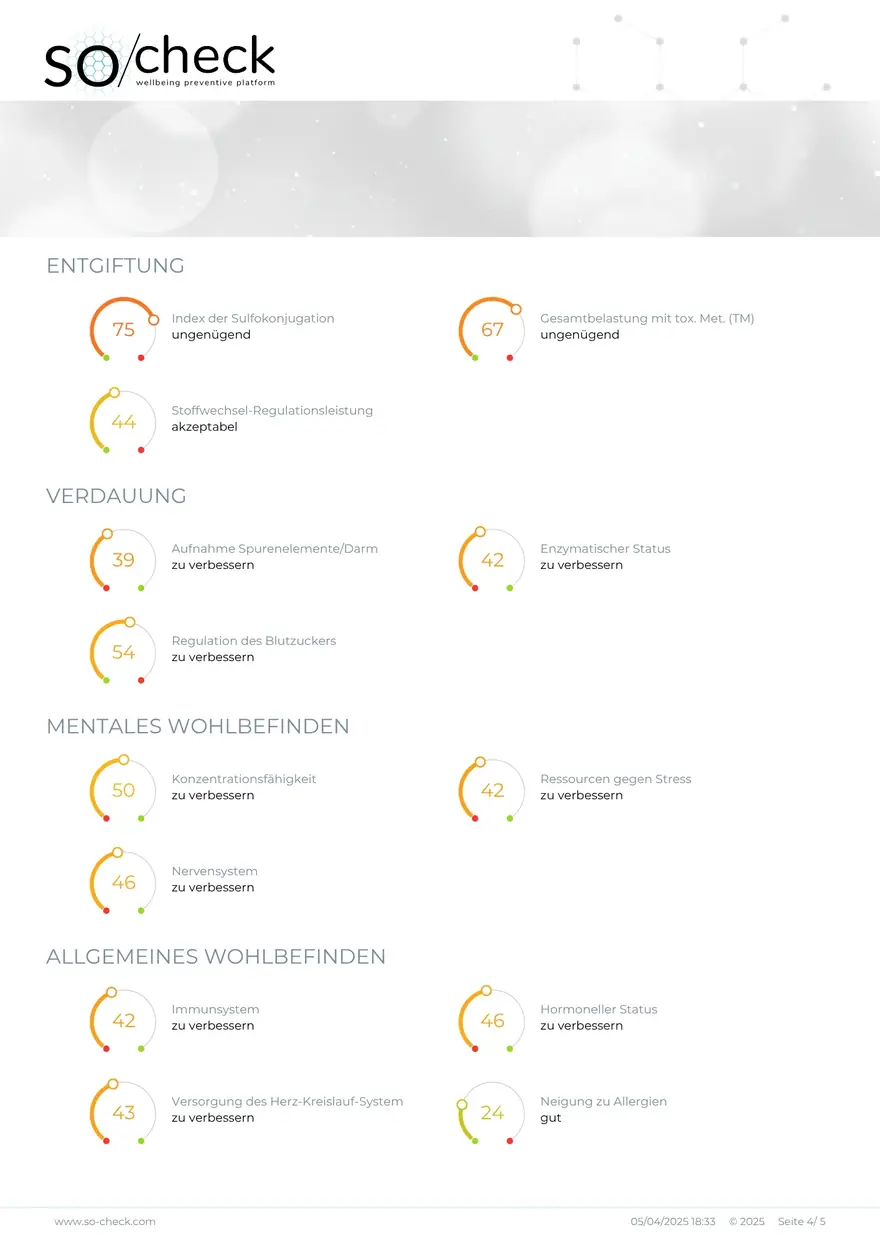 Seite 4: Verdauung, Nervensystem, Immunsystem, Hormonstatus