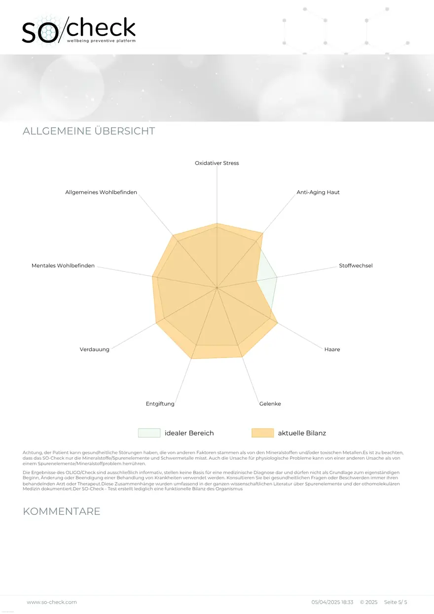 Seite 5: Netzdiagramm als Gesamtübersicht